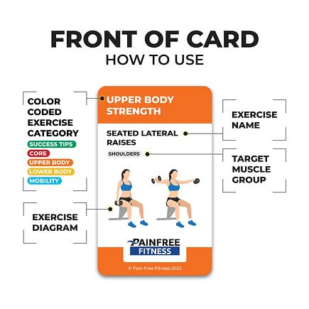 35+ Cards) Seated Chair Exercise Fundamentals Flashcards Pain-Free Fi –  Pain-Free Fitness