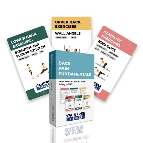 (30+ Cards) Back Pain Fundamentals Flashcards by Pain-Free Fitness, Fitness Cards for Back Pain Relief, Physical Therapy, Back-Friendly Stretching & Yoga, Tear-Resistant, Bend Resistant Flashcards